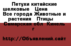 Петухи китайские шелковые › Цена ­ 1 000 - Все города Животные и растения » Птицы   . Самарская обл.,Кинель г.